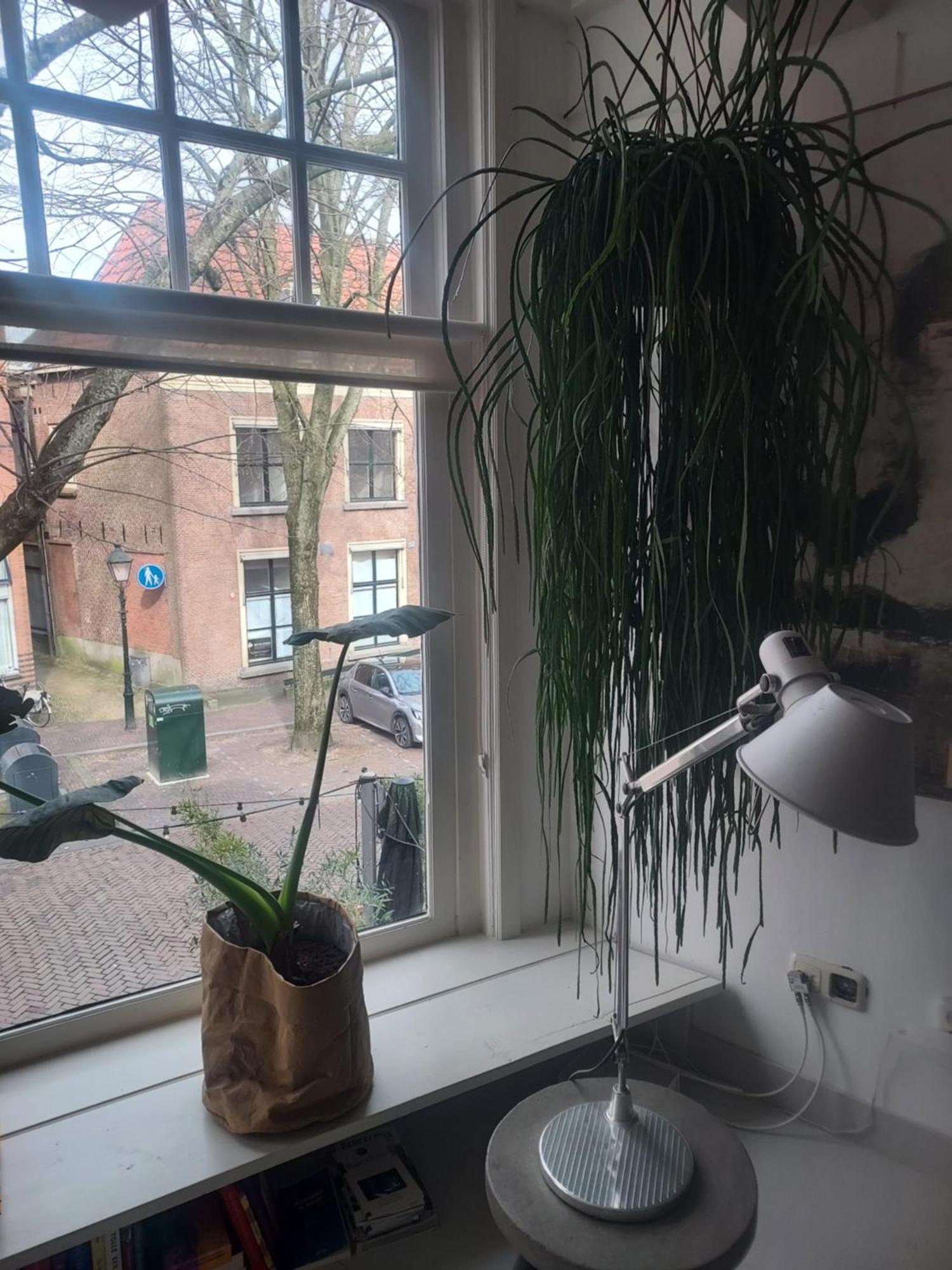 Volledige Bovenwoning Binnenstad